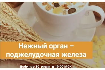 Нежный орган - поджелудочная железа (Александра Фомина)
