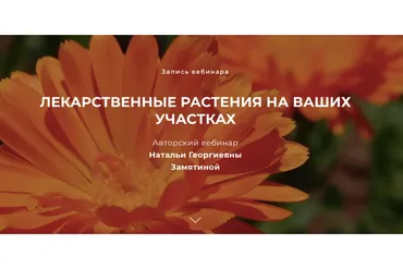 Лекарственные растения на ваших участках (Наталья Замятина)