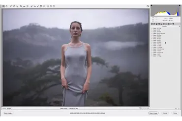Gala - Lightroom & Acr Preset Pack (Марат Сафин)
