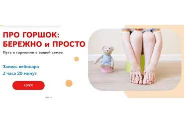 [Elena Ovechkina] Про горшок: бережно и просто (Елена Овечкина)