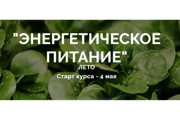 Энергетическое питание - блок Лето (Юлия Дашевски)