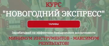 Новогодний экспресс. Тариф Я сама (Екатерина Завирюха)