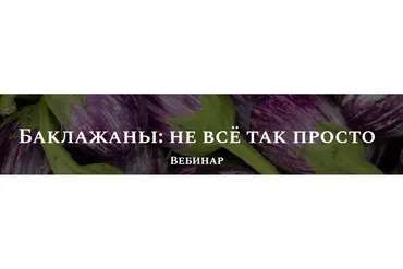 Баклажаны: не всё так просто (Алексей Онегин)