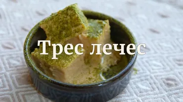 [Novikov school] Трес лечес (Илья Бурнасов)