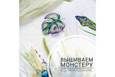 Вышиваем монстеру (Яна Захарова)