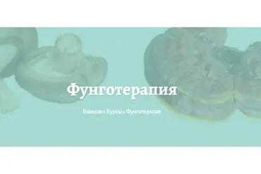 Фунготерапия (Елена Миргородская)