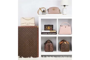 [Правое полушарие Интроверта] История дома Louis Vuitton (Елизавета Фандорина)