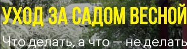 Уход за садом весной (Наталья Мягкова)