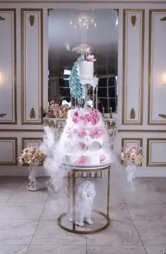 Шоу торт Павлины (Юлианна Сухотерина)
