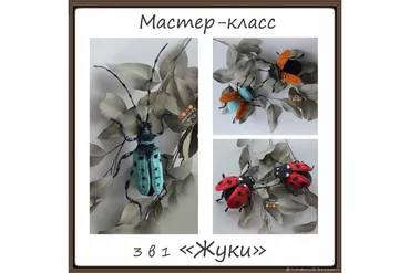 3 в 1 «Жуки» (Юлия Калмыкова)