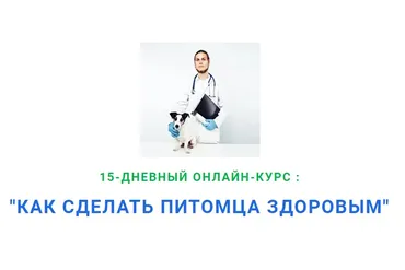 Как сделать питомца здоровым. 12 поток (Дмитрий Русаков)