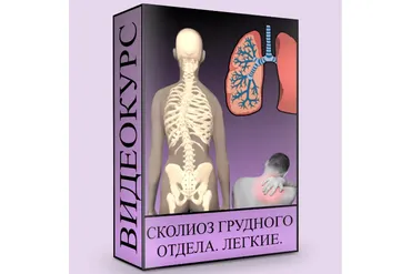 Сколиоз грудного отдела. Легкие (Людмила Малышева)