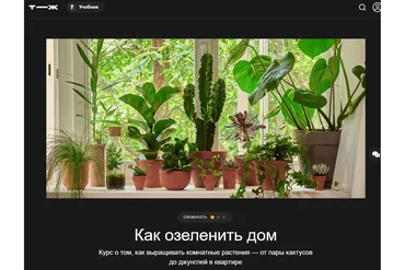 [Т—Ж] Как озеленить дом (Варя Баркалова)