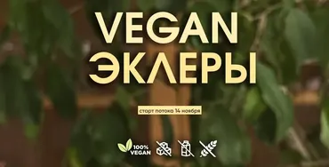 Vegan эклеры. Тариф Без поддержки (Мария Липская)