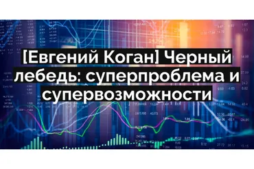 Черный лебедь: суперпроблема и супервозможности (Евгений Коган)