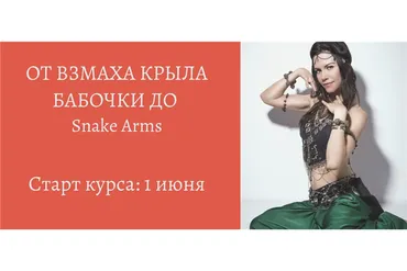 От взмаха крыла бабочки до Snake Arms (Анна Акинцева)