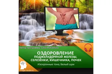 [Лаборатория исцеления звуком] Оздоровление поджелудочной железы, селезёнки, кишечника, почек