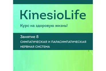 [KinesioLife] Семинар 8. Симпатическая и парасимпатическая нервная система (Людмила Васильева)