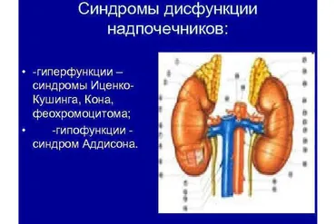 Диагностика субклинической дисфункции надпочечников (Катя Янг)