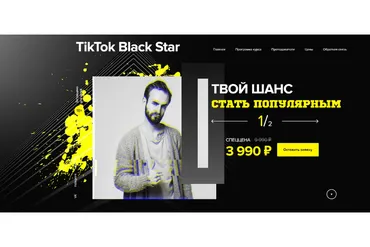 TikTok Black Star. Твой шанс стать Популярным (Диана Салей, Александр Соколовский)
