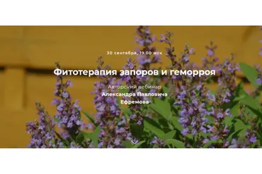 [FestTrav] Фитотерапия запоров и геморроя (Александр Ефремов)