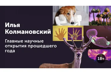 Главные научные открытия прошедшего года 18+ (Илья Колмановский)