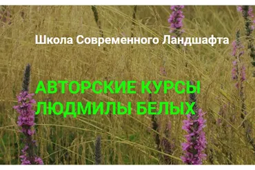[Школа Современного Ландшафта] Сад в тени (Людмила Белых)