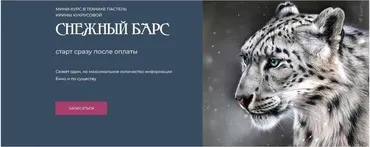 Снежный барс (Ирина Кукрусова)