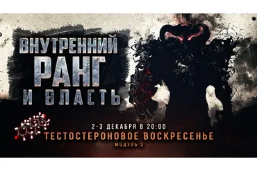 Тестостероновое воскресенье. Модуль 2 (Михаил Рысак)