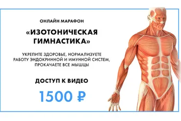 Изотоническая гимнастика (Владимир Бондаренко, Михаил Новиков)