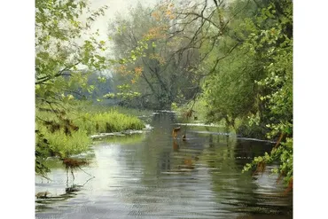 Заводь (Игорь Сахаров)