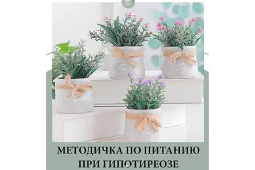 Методичка по питанию при гипотериозе (nutriciolog_zhukova)