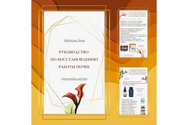 Руководство по восстановлению работы почек (Катерина Форма)
