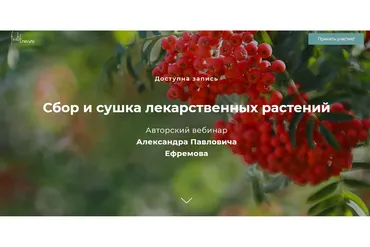 [festtrav.ru] Сбор и сушка лекарственных растений (Александр Ефремов)