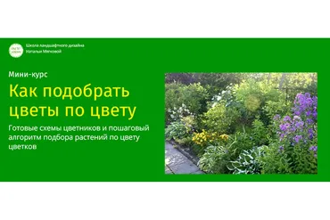 Как подобрать цветы по цвету (Наталья Мягкова)