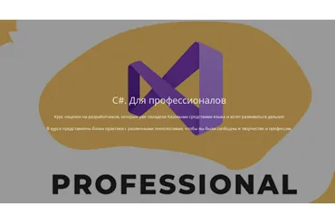 [ЯЮНИОР] C#. Для профессионалов 2021 (Роман Сакутин)