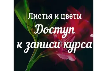 [7secrets.info] Листья и цветы (Дина Беленко)