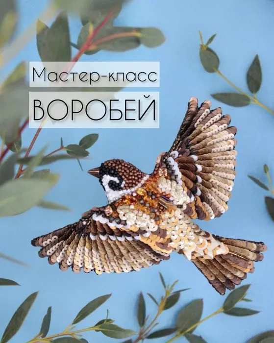 Воробей (Элина Жук)