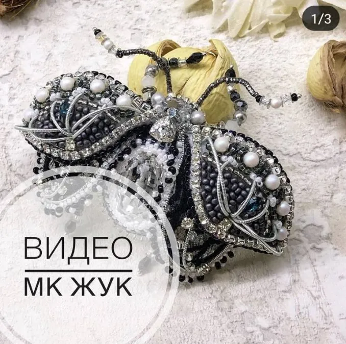Брошь объемный жук «Черное cеребро» (broshkanomer1)