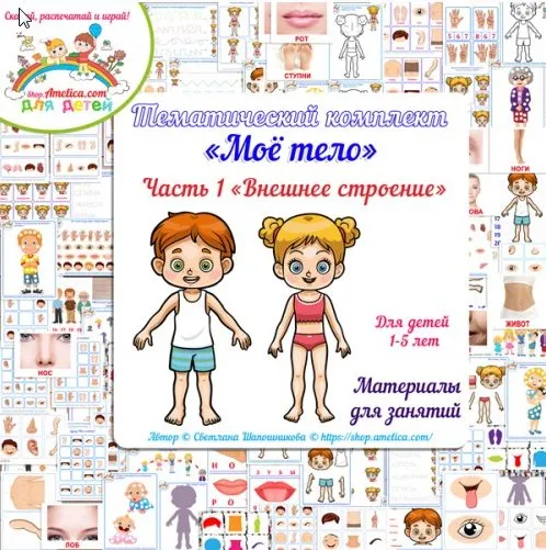 [shop.amelica] Тематический комплект «Тело человека. Часть 1. Внешнее строение» (Светлана Шапошникова)