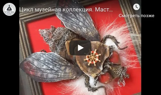 Жук-голиаф Goliathus goliatus. Музейная Коллекция. Экспонат № 2 (Анастасия Голенева)