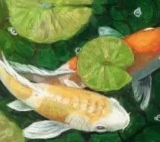 Карпы (Камилла Яманова)