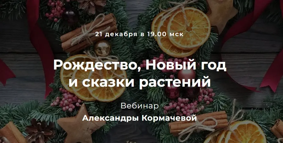 Рождество, Новый год и сказки растений (Александра Кормачева)