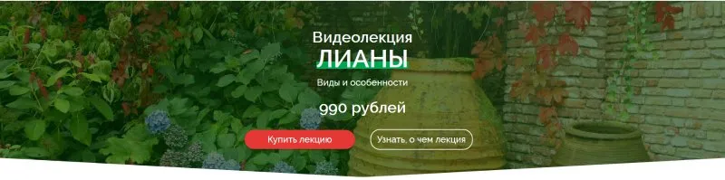 Лианы. Виды и особенности использования (Наталья Мягкова)