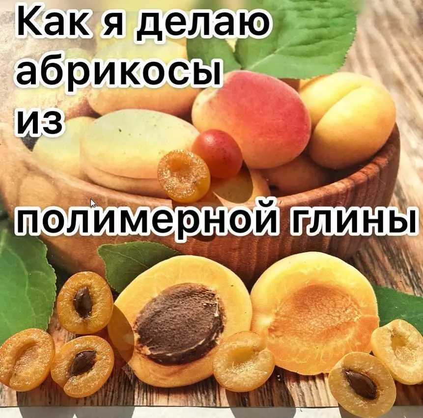 МК «Как я делаю абрикосы из полимерной глины» (magic_magic_garden)