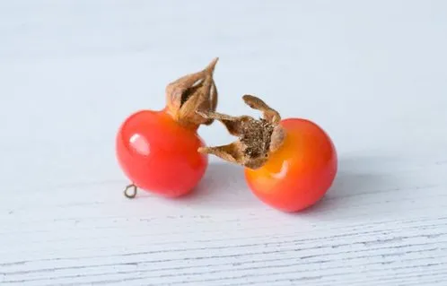 Мастер-класс «Шиповник» (Катя Килязова)