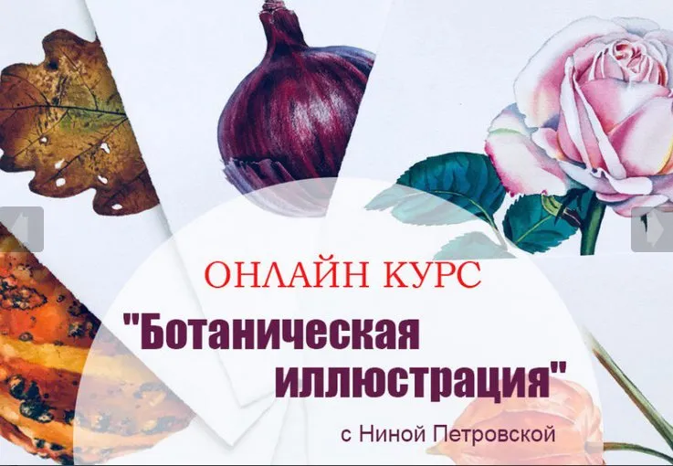 [Art-creativity] Ботанические иллюстрации (Нина Петровская)