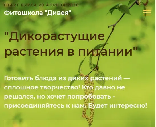 [Фитошкола «Дивея»] Дикорастущие растения в питании. Стандрт  (Ольга Спиридонова, Ольга Дзюбан)