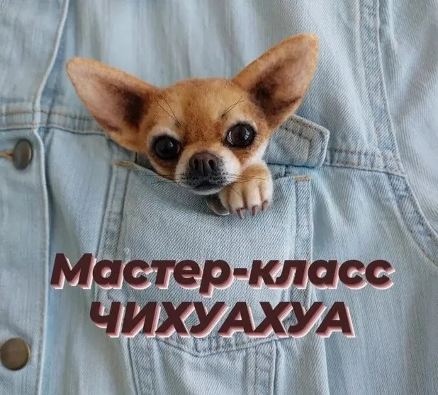 Брошь Чихуахуа (Марина Грубер)
