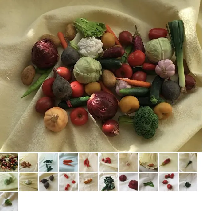 Курс по лепке овощей (piti_toys)